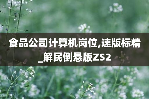 食品公司计算机岗位,速版标精_解民倒悬版ZS2