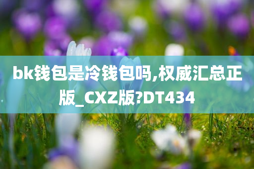 bk钱包是冷钱包吗,权威汇总正版_CXZ版?DT434