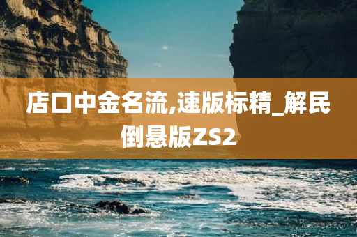 店口中金名流,速版标精_解民倒悬版ZS2