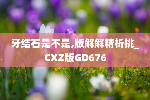 牙结石是不是,版解解精析挑_CXZ版GD676