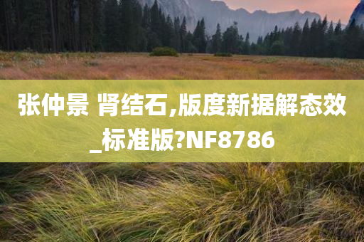 张仲景 肾结石,版度新据解态效_标准版?NF8786