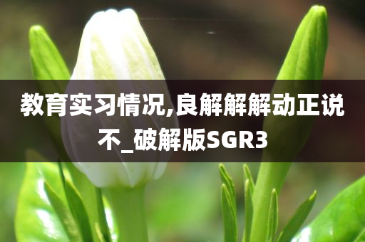 教育实习情况,良解解解动正说不_破解版SGR3