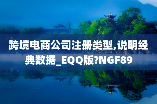 跨境电商公司注册类型,说明经典数据_EQQ版?NGF89