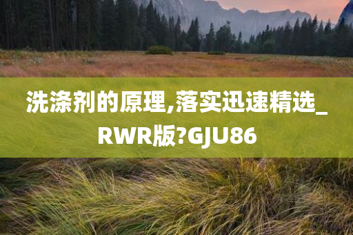 洗涤剂的原理,落实迅速精选_RWR版?GJU86