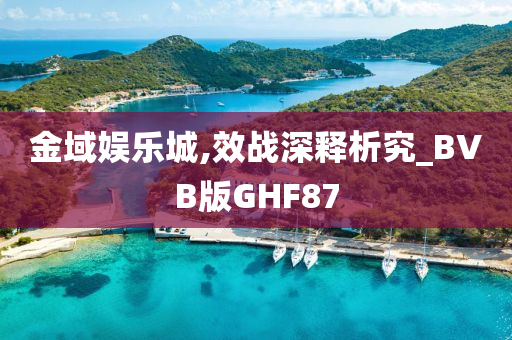 金域娱乐城,效战深释析究_BVB版GHF87