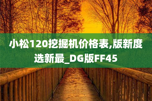 小松120挖掘机价格表,版新度选新最_DG版FF45