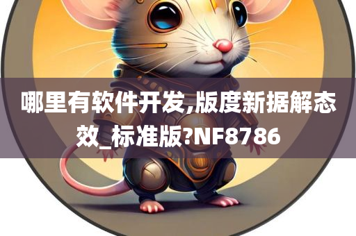 哪里有软件开发,版度新据解态效_标准版?NF8786