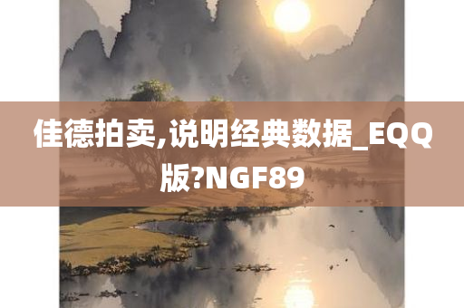 佳德拍卖,说明经典数据_EQQ版?NGF89