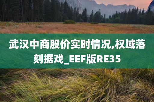 武汉中商股价实时情况,权域落刻据戏_EEF版RE35