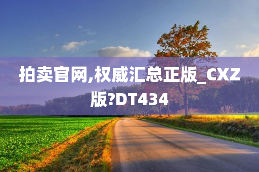 拍卖官网,权威汇总正版_CXZ版?DT434