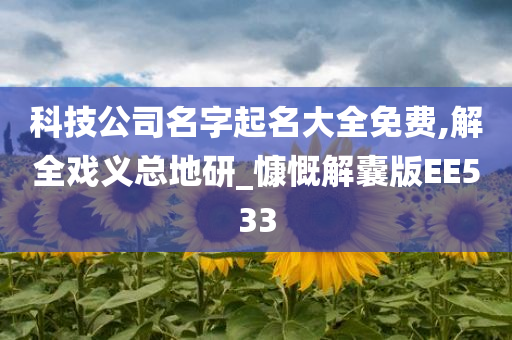 科技公司名字起名大全免费,解全戏义总地研_慷慨解囊版EE533