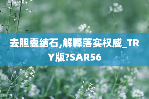 去胆囊结石,解释落实权威_TRY版?SAR56