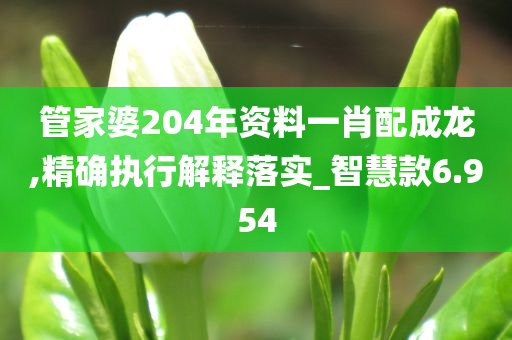 管家婆204年资料一肖配成龙,精确执行解释落实_智慧款6.954