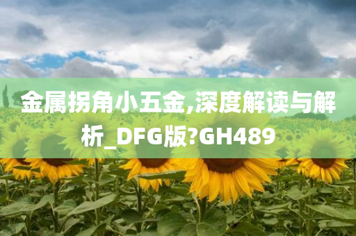 金属拐角小五金,深度解读与解析_DFG版?GH489