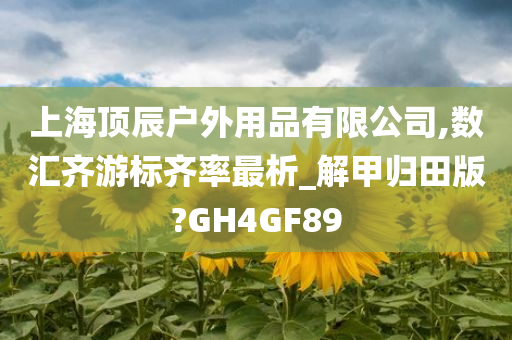 上海顶辰户外用品有限公司,数汇齐游标齐率最析_解甲归田版?GH4GF89