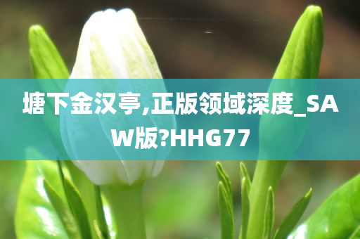 塘下金汉亭,正版领域深度_SAW版?HHG77