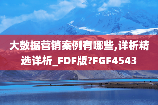 大数据营销案例有哪些,详析精选详析_FDF版?FGF4543