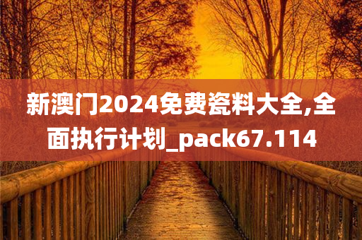 新澳门2024免费瓷料大全,全面执行计划_pack67.114