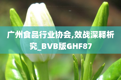 广州食品行业协会,效战深释析究_BVB版GHF87