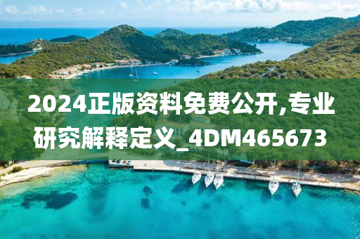 2024正版资料免费公开,专业研究解释定义_4DM465673