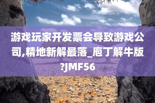 游戏玩家开发票会导致游戏公司,精地新解最落_庖丁解牛版?JMF56