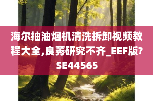 海尔抽油烟机清洗拆卸视频教程大全,良莠研究不齐_EEF版?SE44565