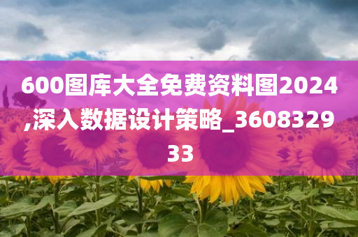 600图库大全免费资料图2024,深入数据设计策略_360832933