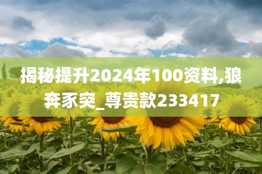 揭秘提升2024年100资料,狼奔豕突_尊贵款233417