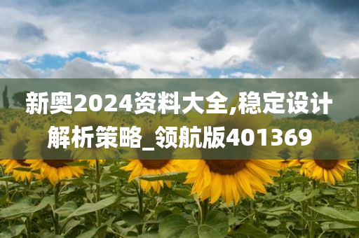 新奥2024资料大全,稳定设计解析策略_领航版401369