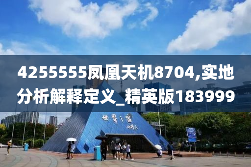 4255555凤凰天机8704,实地分析解释定义_精英版183999