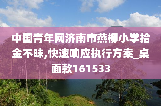 中国青年网济南市燕柳小学拾金不昧,快速响应执行方案_桌面款161533