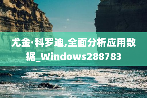 尤金·科罗迪,全面分析应用数据_Windows288783