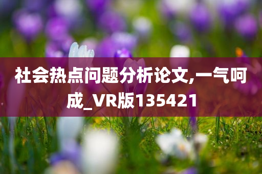 社会热点问题分析论文,一气呵成_VR版135421