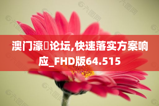 澳门濠冮论坛,快速落实方案响应_FHD版64.515