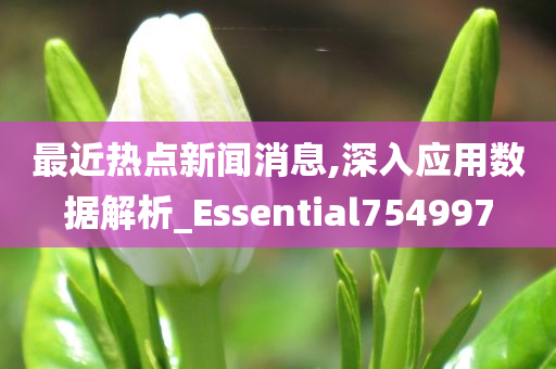 最近热点新闻消息,深入应用数据解析_Essential754997