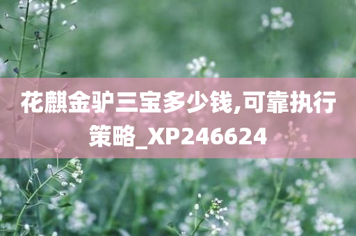 花麒金驴三宝多少钱,可靠执行策略_XP246624