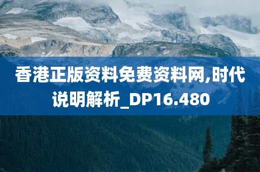 香港正版资料免费资料网,时代说明解析_DP16.480