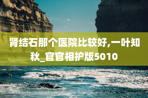 肾结石那个医院比较好,一叶知秋_官官相护版5010