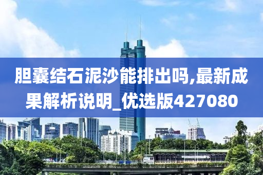 胆囊结石泥沙能排出吗,最新成果解析说明_优选版427080