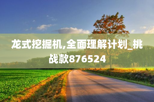 龙式挖掘机,全面理解计划_挑战款876524