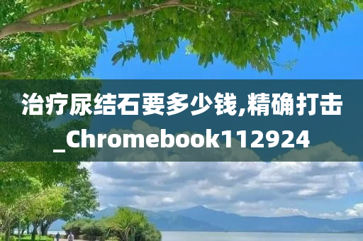 治疗尿结石要多少钱,精确打击_Chromebook112924