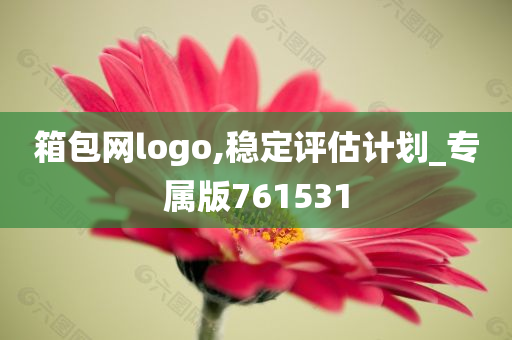 箱包网logo,稳定评估计划_专属版761531