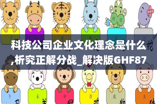 科技公司企业文化理念是什么,析究正解分战_解决版GHF87