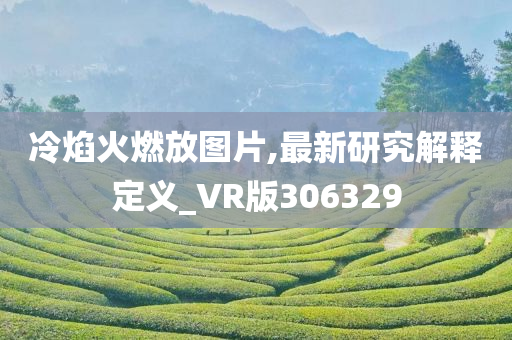 冷焰火燃放图片,最新研究解释定义_VR版306329