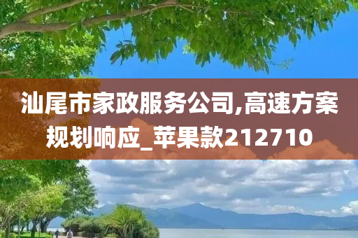 汕尾市家政服务公司,高速方案规划响应_苹果款212710