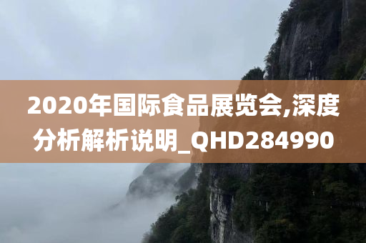 2020年国际食品展览会,深度分析解析说明_QHD284990