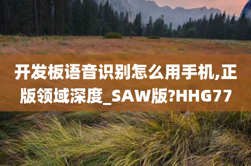 开发板语音识别怎么用手机,正版领域深度_SAW版?HHG77