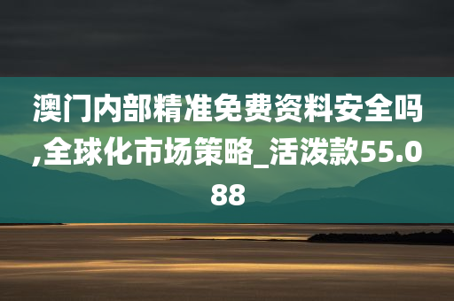 澳门内部精准免费资料安全吗,全球化市场策略_活泼款55.088