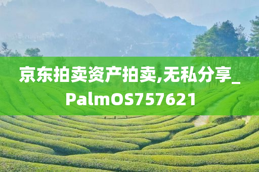 京东拍卖资产拍卖,无私分享_PalmOS757621