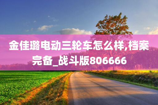 金佳璐电动三轮车怎么样,档案完备_战斗版806666